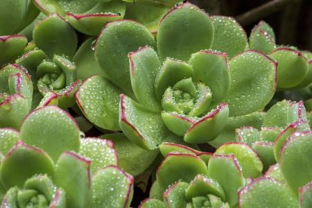 й½ϳƫ ȫůorȫ䣿