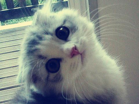 ¬ٰʾƷгģ48Ԫҵ͸ʽԼ5%